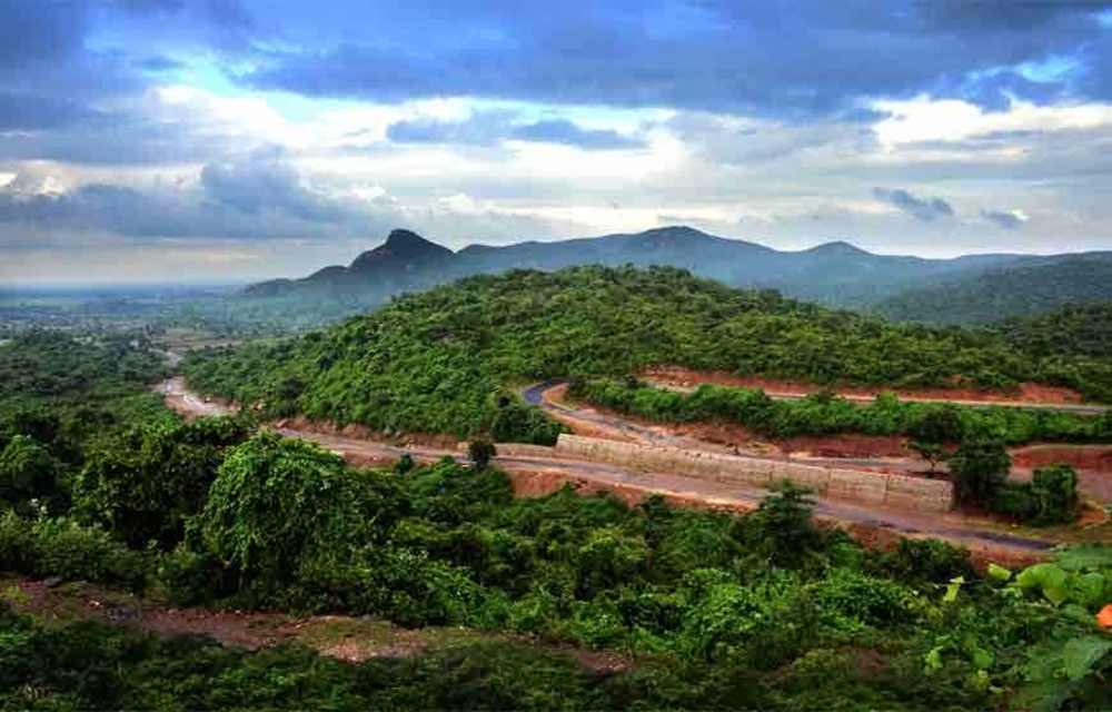 Duarsini Forest